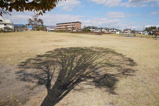 木陰 木陰の写真