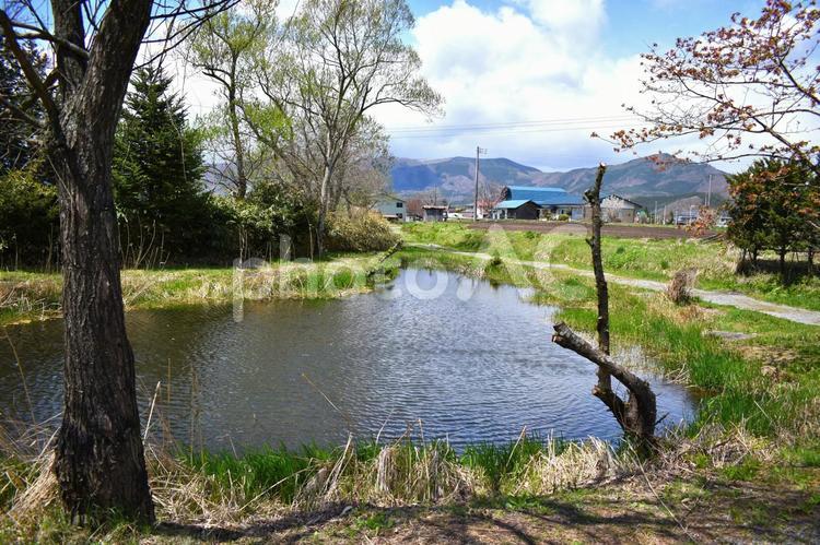 田舎のため池（遠野のカッパ淵周辺） ため池,池,田舎の写真素材
