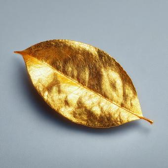 金色の葉の美しい質感 金色の葉の美しい質感の写真
