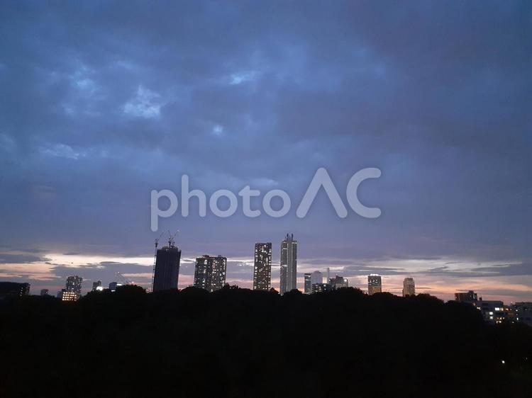 都会　高所より　大塚から池袋　森とビル 夕方,空,森の写真素材
