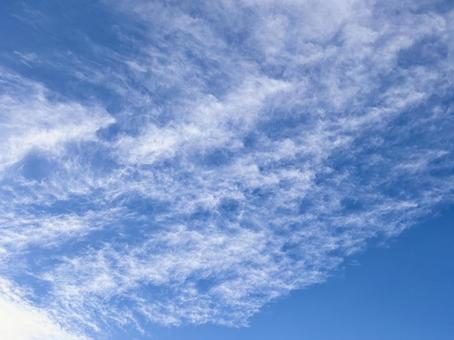 【風景写真】夏空の写真