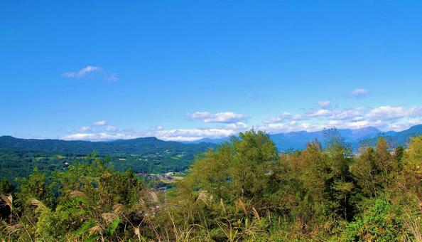 木々と空 木々と空 木,緑,植物の写真素材