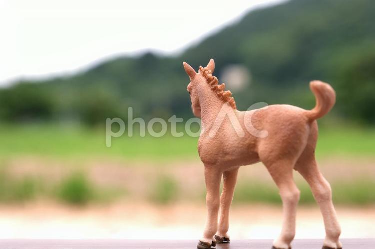 シュライヒ　草原で立ち止まる茶色い馬のフィギュア シュライヒ,シュライヒフィギュア,白馬の写真素材