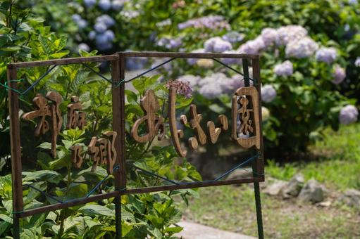 Tsumanogo Hydrangea Garden, JPG