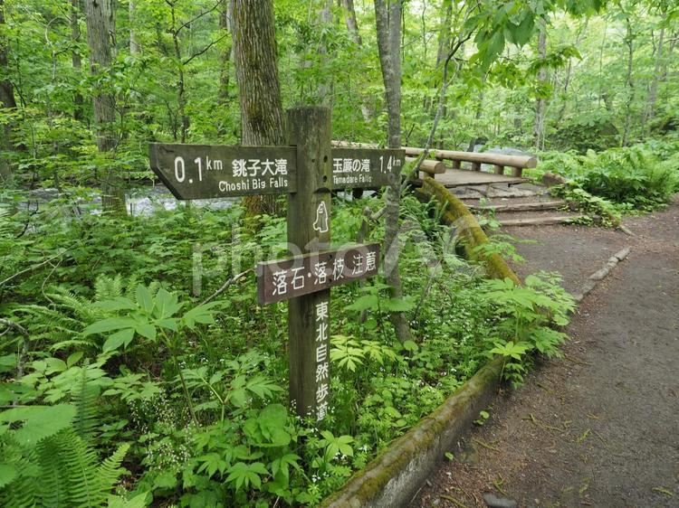 奥入瀬渓流　遊歩道の案内表示 奥入瀬渓流,三乱の流れ,十和田市の写真素材