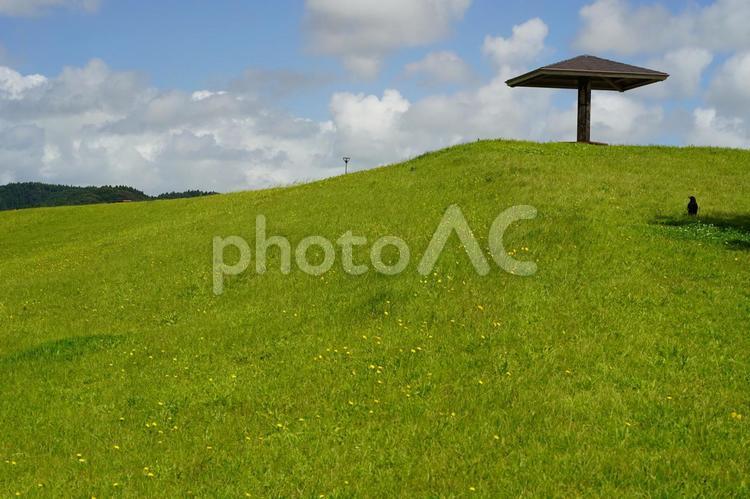秋の空と四阿と緑の芝生にカラスがいる風景 秋,空,四阿の写真素材