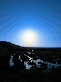 初夏の沼地と青空と太陽 初夏の沼地と青空と太陽の写真