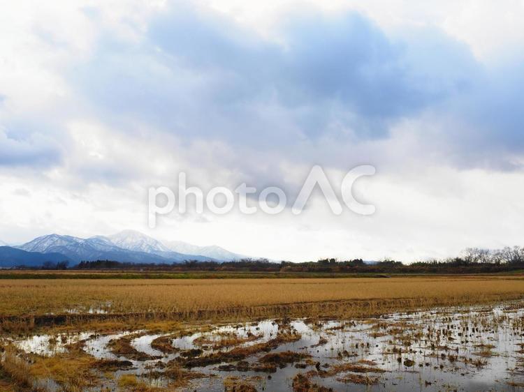 冬の田んぼ８ 田,田んぼ,畦道の写真素材