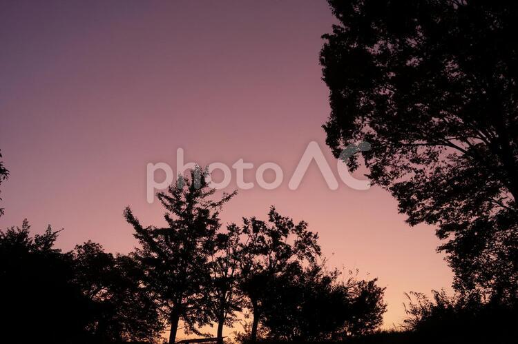 夕暮れ２ 晩秋,秋,空の写真素材