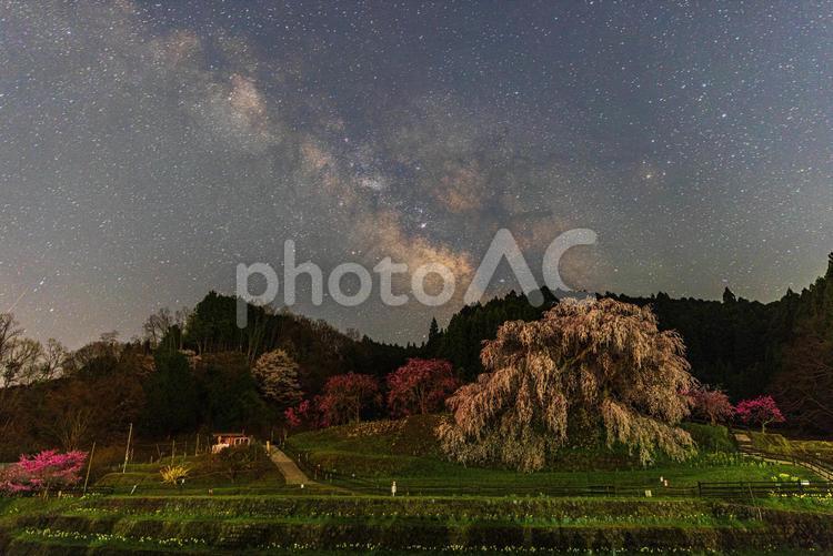 奈良県宇陀市　星空と又兵衛桜 又兵衛桜,桜,天の川の写真素材