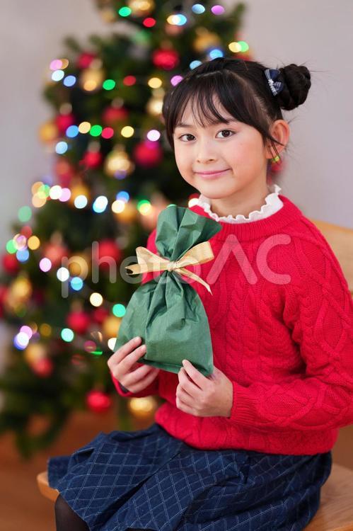 緑色のギフトバッグを持ち微笑む女の子 女の子,クリスマス,プレゼントの写真素材