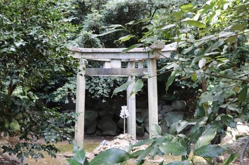 蚕ノ社 三柱鳥居 蚕ノ社 三柱鳥居 蚕ノ社,三柱鳥居,京都三珍鳥居の写真素材