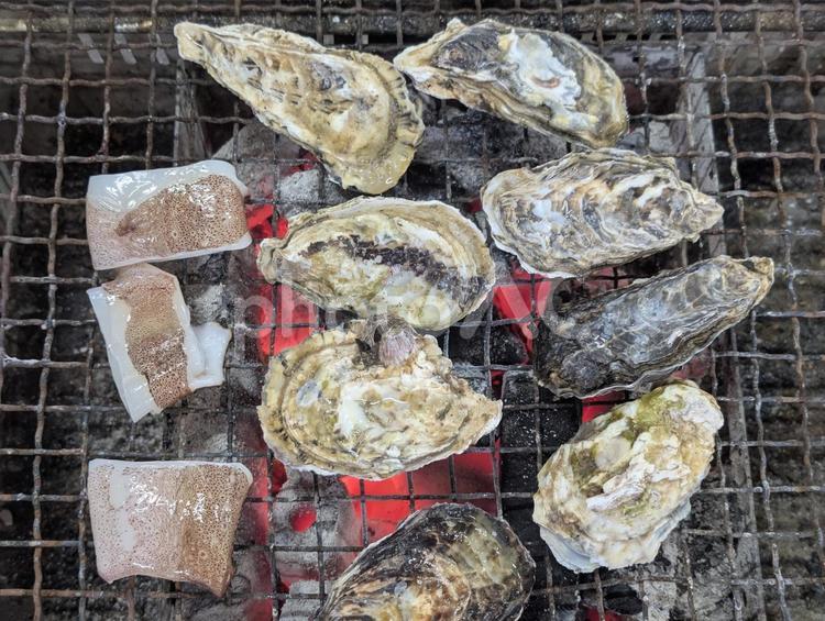 炭火焼き カキ小屋,牡蠣,オイスターの写真素材