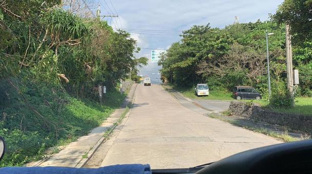 西表島 西表島の写真