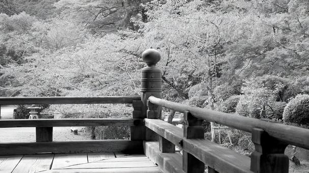 長等山園城寺(三井寺)金堂の濡れ縁と境内 長等山園城寺(三井寺)金堂の濡れ縁と境内 三井寺,金堂,濡れ縁の写真素材