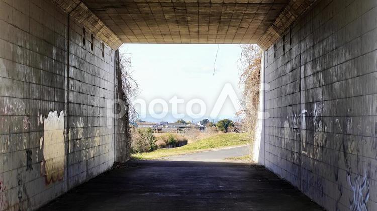 埼玉県の利根川河川敷にある跨道 トンネル,通り道,壁の写真素材