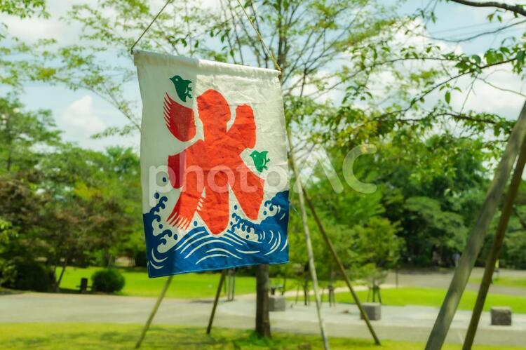 かき氷のイメージ かき氷,イメージ,夏の写真素材