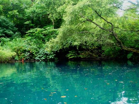 ヨットから撮影をした緑色の湖面 ヨットから撮影をした緑色の湖面の写真