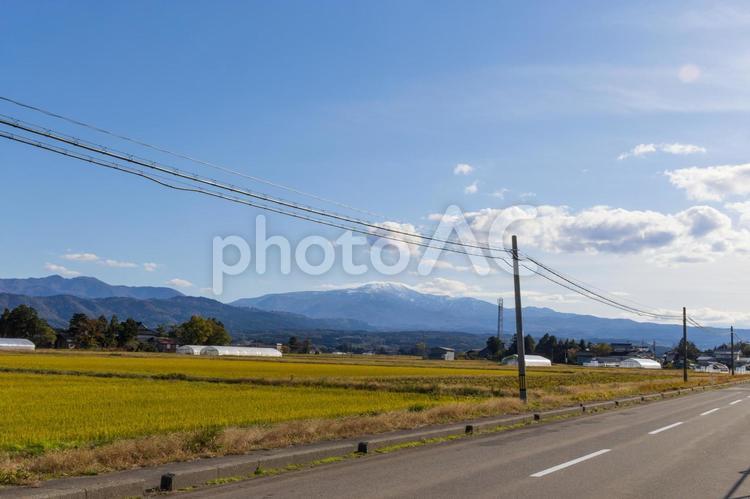 田んぼと空と山と電柱 田んぼ,青い空,稲刈りの写真素材