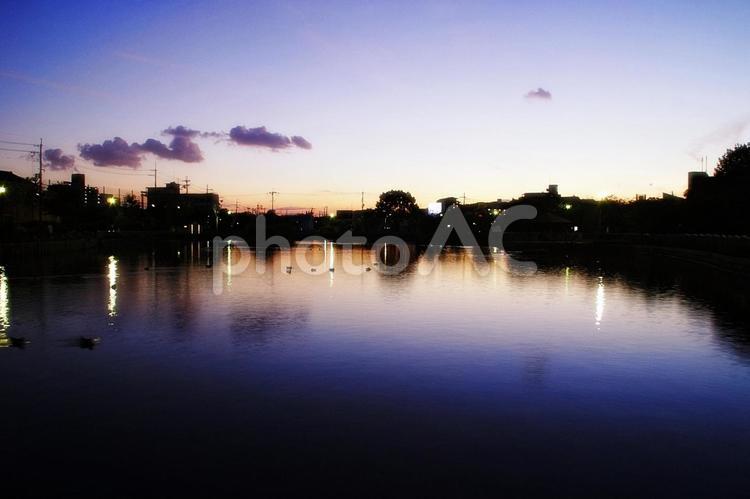 池のある公園の夕景 夕景,夕闇,池の写真素材