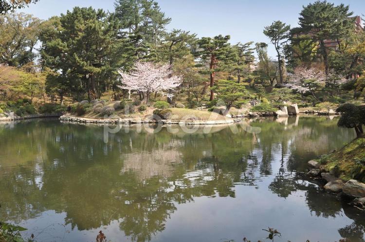 縮景園の春 広島市,縮景園,春の写真素材