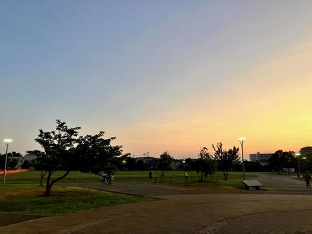 初夏の公園 初夏の公園の写真