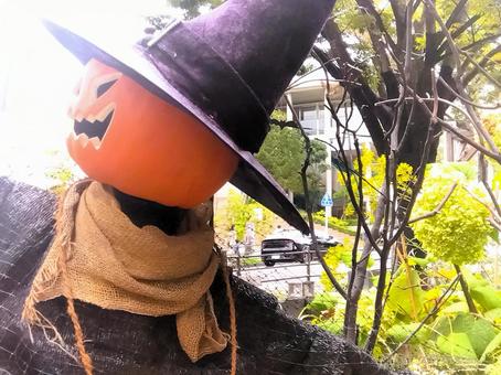 ハロウィン 2 ハロウィン 2 ハロウィン,秋,収穫祭の写真素材