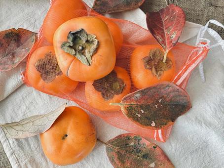 富有柿　傷あり 富有柿,柿,傷ありの写真素材