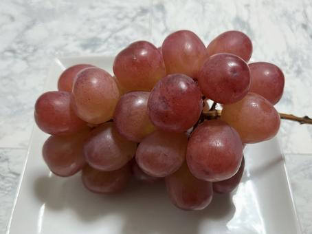 クイーンルージュ ぶどう,クイーンルージュ,長野県産の写真素材