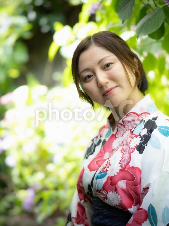 紫陽花と浴衣を着た女性 浴衣,和服,和装の写真素材