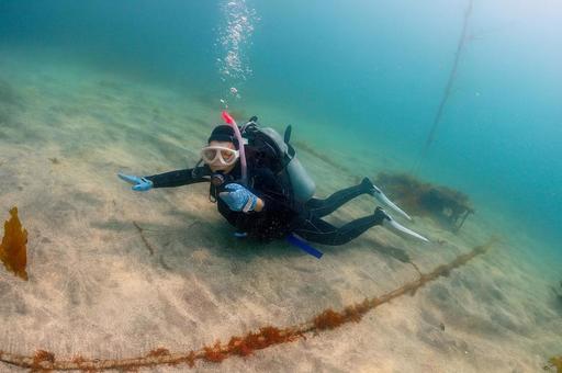 海中を楽しむスキューバダイバー 海中を楽しむスキューバダイバーの写真