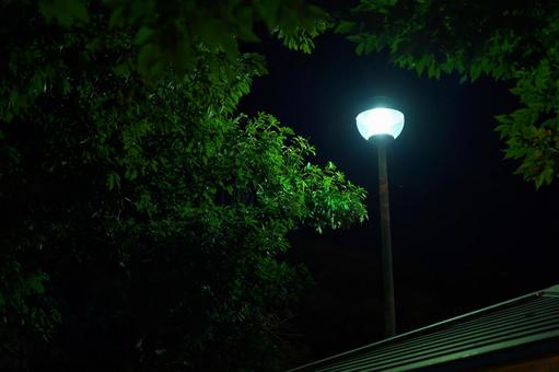 深夜の街灯 深夜の街灯 街灯,深夜,夜の写真素材