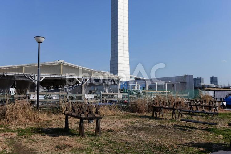 豊洲ぐるり公園 豊洲ぐるり公園,豊洲,東京の写真素材