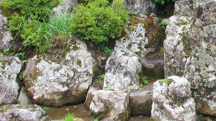 福井県-一乗谷朝倉氏庭園-朝倉館跡庭園 一乗谷,朝倉氏庭園,朝倉館跡庭園の写真素材