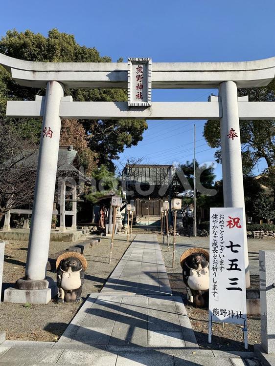 神奈川県平塚市長持　熊野神社 神社,木,鳥居の写真素材