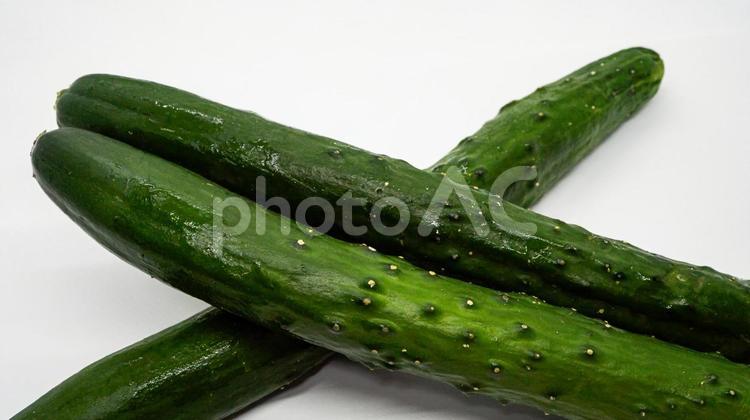 新鮮なきゅうり・白背景で際立つ緑の野菜 きゅうり,キュウリ,野菜の写真素材