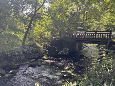 長野県軽井沢町 湯川-6 長野県軽井沢町 湯川-6の写真