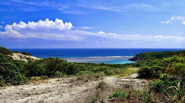 渡嘉敷島の見花原遊歩道から見える海の風景 渡嘉敷島の見花原遊歩道から見える海の風景 見花原,渡嘉敷,海の写真素材