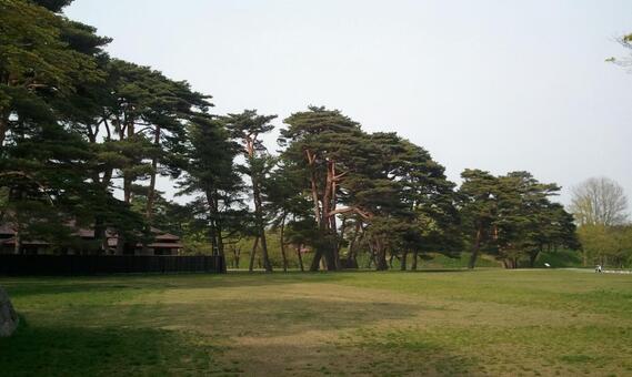五稜郭公園② 五稜郭公園② 五稜郭,五稜郭公園,北海道の写真素材