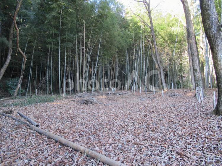 那須烏山・烏山城跡の建物跡広場 広場,空き地,山中の写真素材