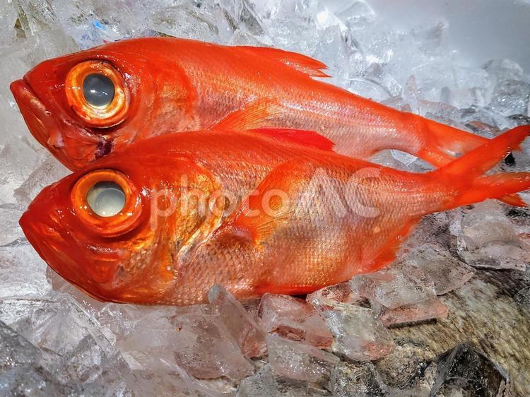 鮮魚　金目鯛　２尾 金目鯛,キンメダイ,魚の写真素材