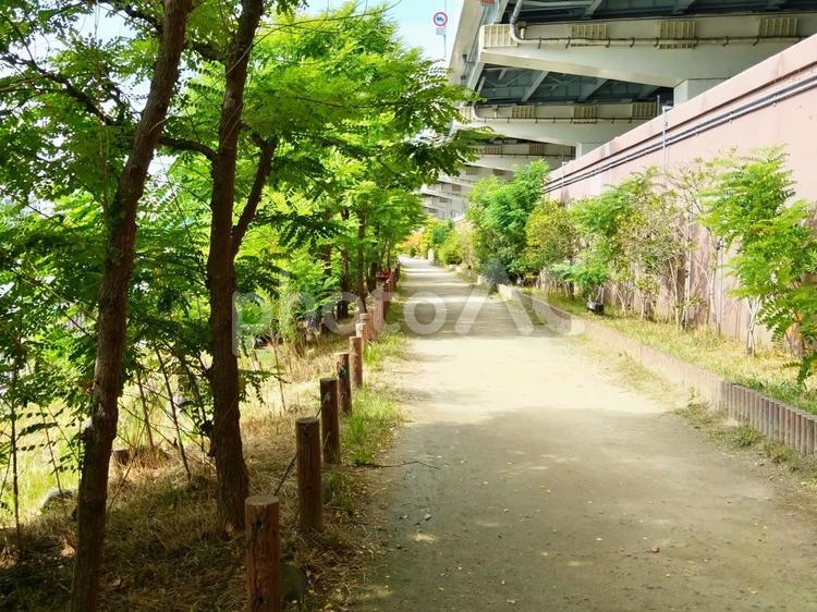高架下の遊歩道を歩く 隅田川テラス,散歩,ウォーキングの写真素材