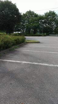 森に囲まれた駐車場 森に囲まれた駐車場の写真