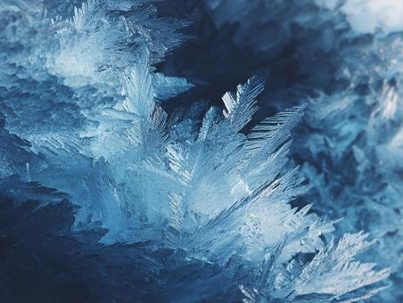 冬の朝に見る氷の芸術 冬の朝に見る氷の芸術の写真