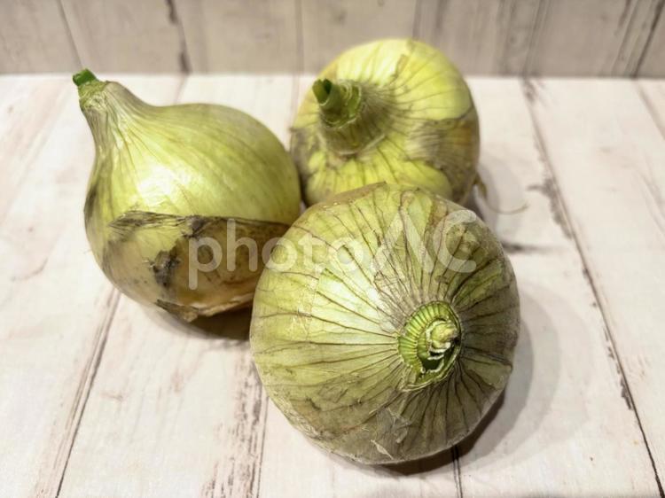 新玉ねぎ 玉ねぎ,春,柔らかいの写真素材