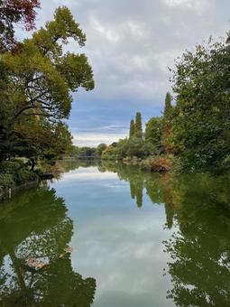 井の頭池の秋 秋,井の頭公園,池の写真素材