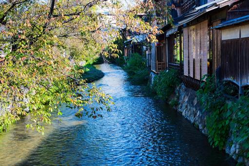 京都 祇園白川 京都 祇園白川 京都,祇園,白川の写真素材