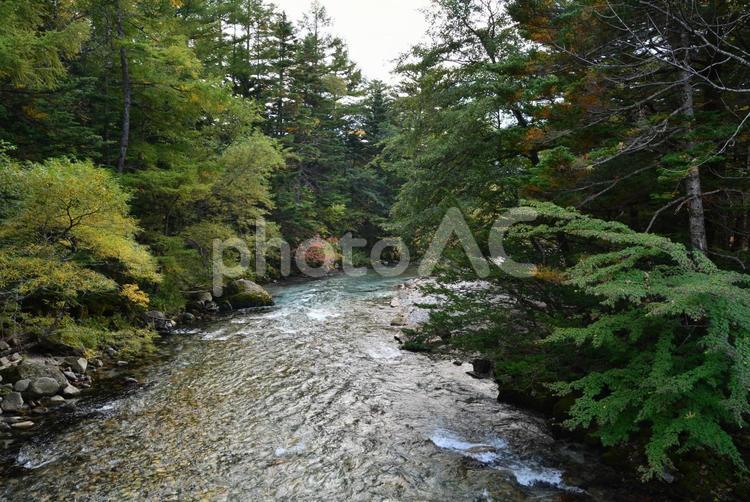 長野県上高地　田代橋 上高地,梓川,長野県の写真素材