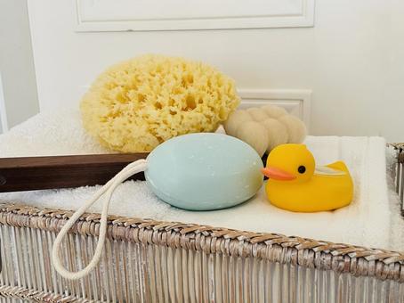 Photo, bath, bus, bath time, 