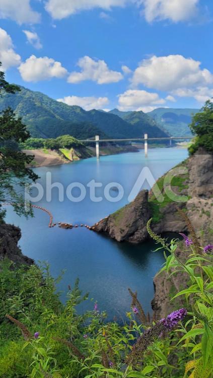 夏の八ッ場あがつま湖 風景,夏,八ッ場ダムの写真素材